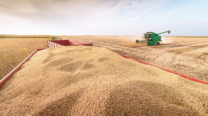 The Australian Agricultural Outlook 2025 predicts a positive immediate future for farmers, over the next six months. Photo: iStock