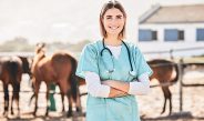 There are numerous options to eradicate exotic diseases, depending on the disease. Photo: iStock