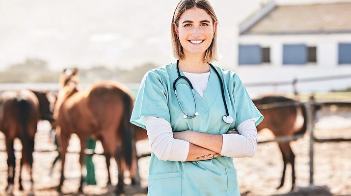 There are numerous options to eradicate exotic diseases, depending on the disease. Photo: iStock