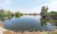 Agriculture Victoria’s Christopher Blore believes water, where and when you need it, is critical for all farming businesses.Photo: iStock