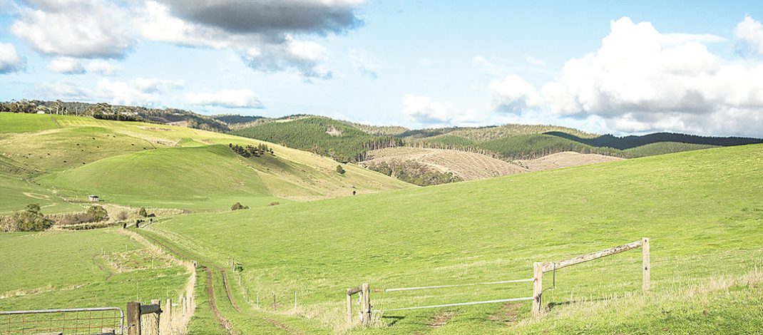 rolling paddocks File photo