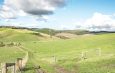 rolling paddocks File photo