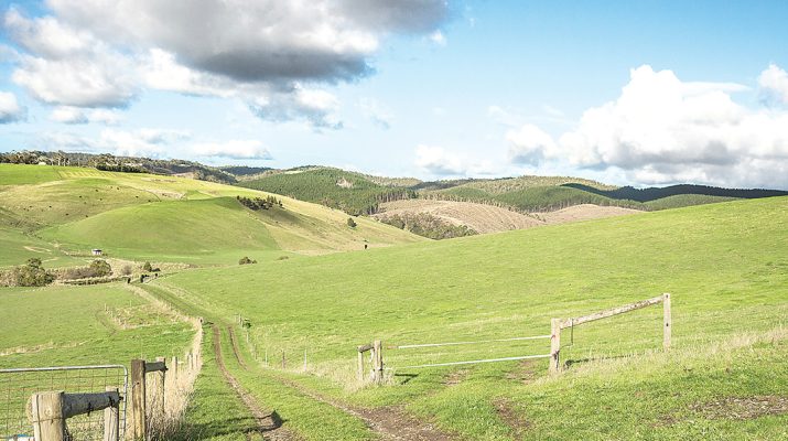 rolling paddocks File photo