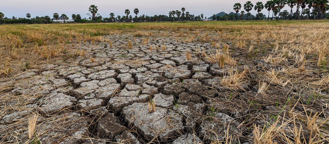 Dry cracked soil ground in fields