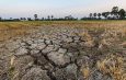 Dry cracked soil ground in fields