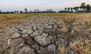 Dry cracked soil ground in fields