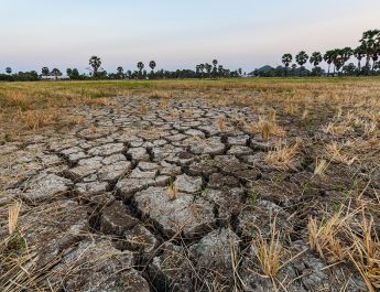 Dry cracked soil ground in fields