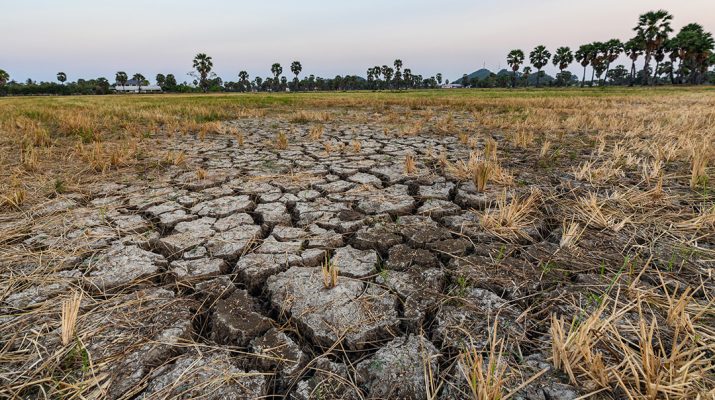 Dry cracked soil ground in fields