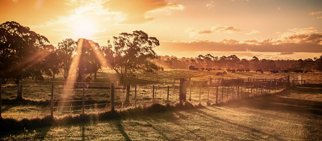 Gippsland Countryside Stock Image
