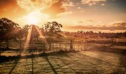 Gippsland Countryside Stock Image