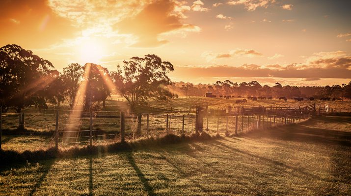 Gippsland Countryside Stock Image