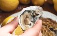 Oyster industry for lakes