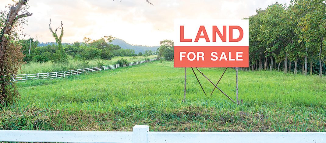 Land Sale