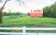 Land Sale