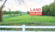 Land Sale