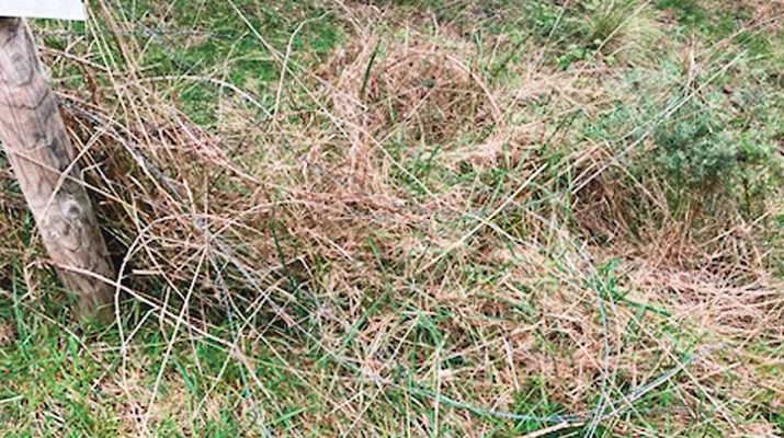 Tyers farmer John Williamson is alarming the farming community in the area after finding his fences slashed and cows shot.
