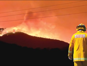 Bushfires burned throughout the state last month, with local firefighters putting their hands up to help. Photo: Seb Nieuwestee
