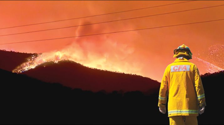 Bushfires burned throughout the state last month, with local firefighters putting their hands up to help. Photo: Seb Nieuwestee