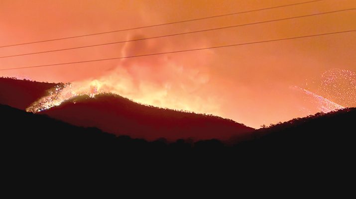 Photo: Seb Nieuwesteeg