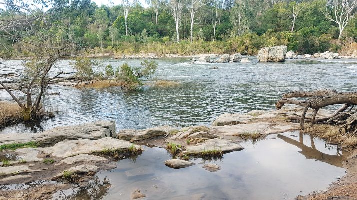 The Mitchell River at the pumping station where East Gippsland’s water is taken from the river. Photo: Contributed