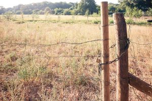 Police are urging farmers to ensure that their properties are properly locked up and have extra precautions to reduce the risk of fuel and property theft. Photo: iStock
