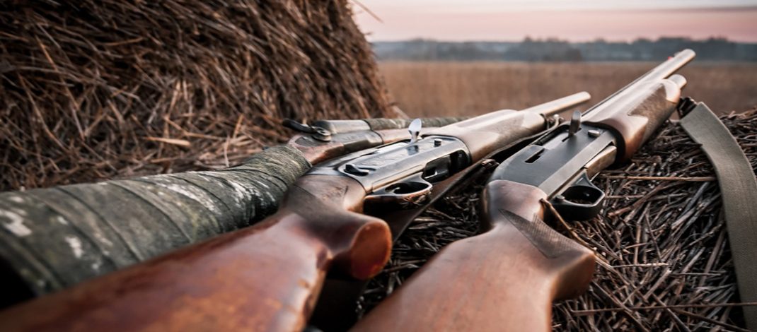 Two Shotguns