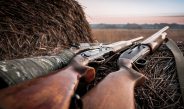Two Shotguns