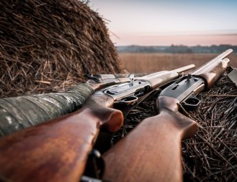 Two Shotguns
