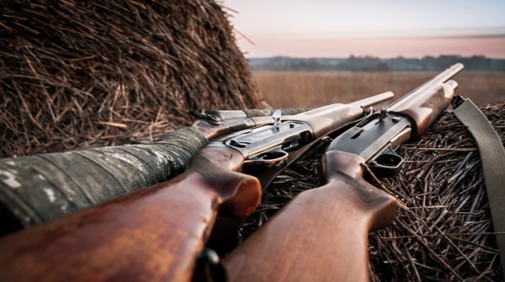 Two Shotguns