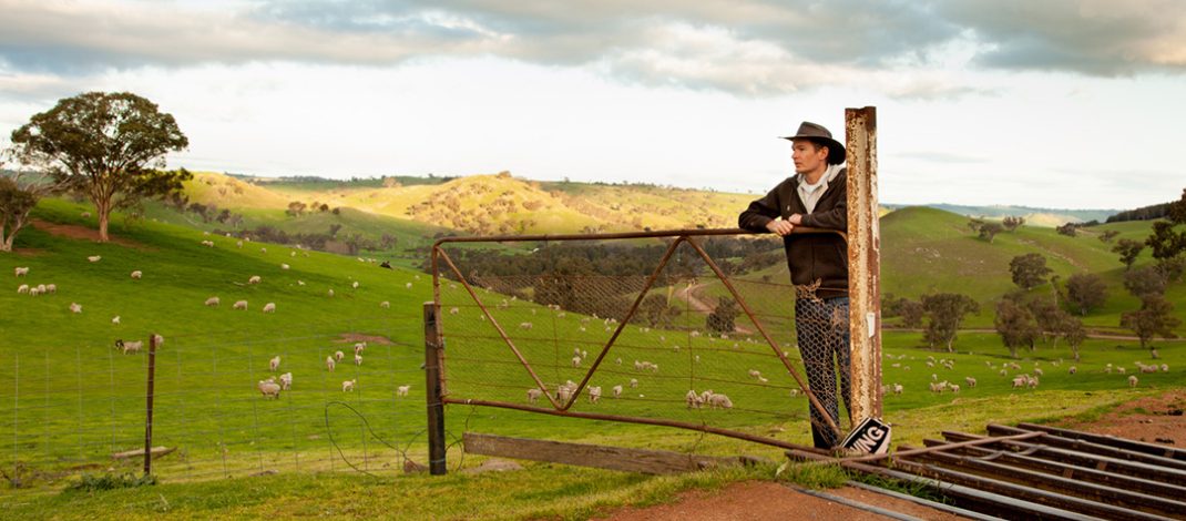 Aussie farmer looking out over a paddock stock image