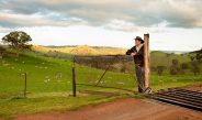 Aussie farmer looking out over a paddock stock image