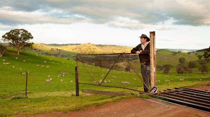 Aussie farmer looking out over a paddock stock image
