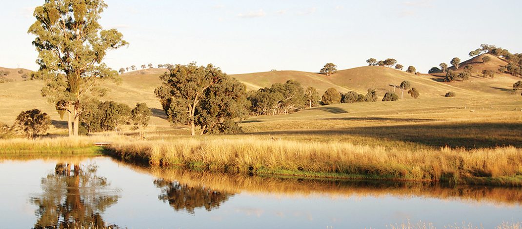 Agriculture Victoria is urging farmers to get ready for future seasons by planning ahead. Photo: iStock