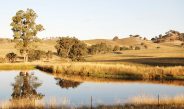 Agriculture Victoria is urging farmers to get ready for future seasons by planning ahead. Photo: iStock