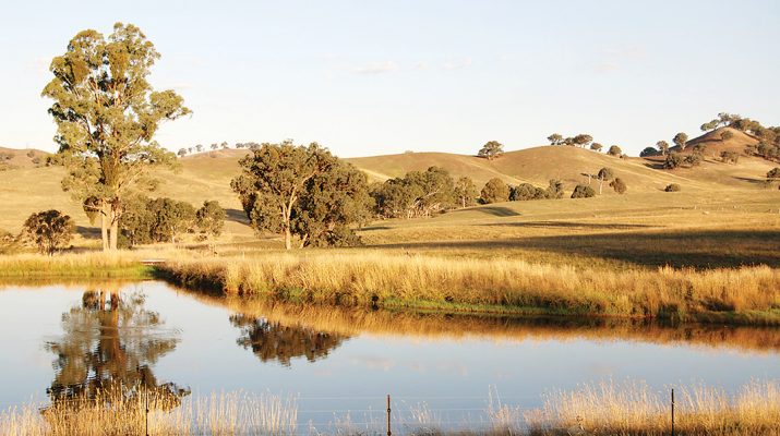 Agriculture Victoria is urging farmers to get ready for future seasons by planning ahead. Photo: iStock
