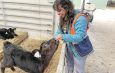 Dr Garima Lakhanpal’s research is focusing on understanding the dynamics of the nutrient-specific nitrogen in intensive dairy farms.Photos: Contributed