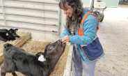 Dr Garima Lakhanpal’s research is focusing on understanding the dynamics of the nutrient-specific nitrogen in intensive dairy farms.Photos: Contributed