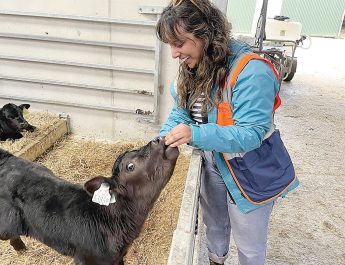 Dr Garima Lakhanpal’s research is focusing on understanding the dynamics of the nutrient-specific nitrogen in intensive dairy farms.Photos: Contributed