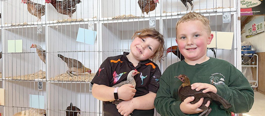 Sage Jones, six, and Kolby Oakley, five, proudly display Modern Game pullets at the Gippsland Riviera Poultry and Game Club’s annual show in Maffra. Photo: Erika Allen