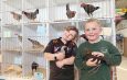 Sage Jones, six, and Kolby Oakley, five, proudly display Modern Game pullets at the Gippsland Riviera Poultry and Game Club’s annual show in Maffra. Photo: Erika Allen